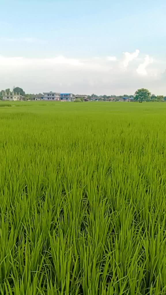 @,,खड्का,,,अस्मी,,
