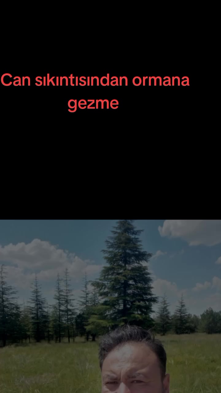 @Ali 💛♥️☠️