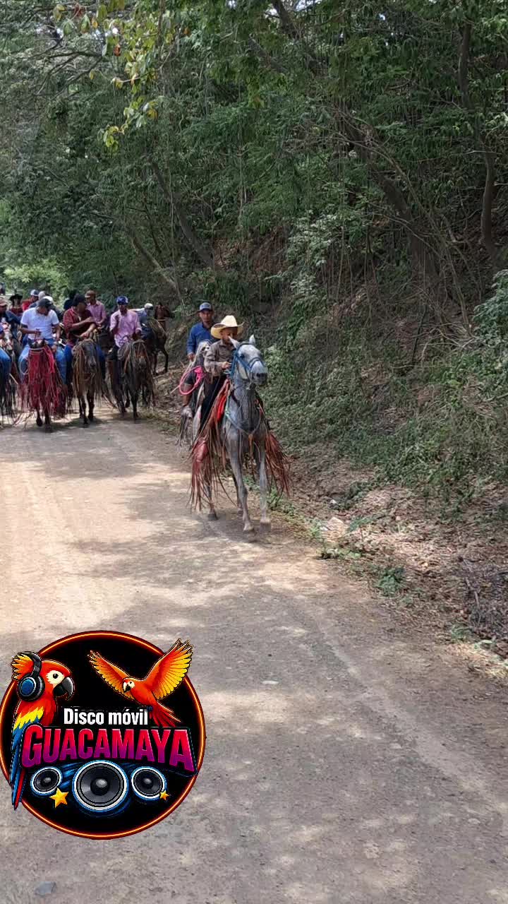 @Disco_movil_guacamaya