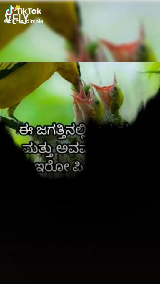 @Shiva Mamudagi