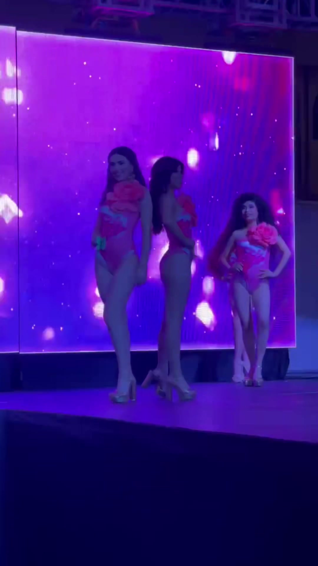 @Celeste Lima