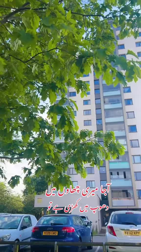 @Aamal_noor