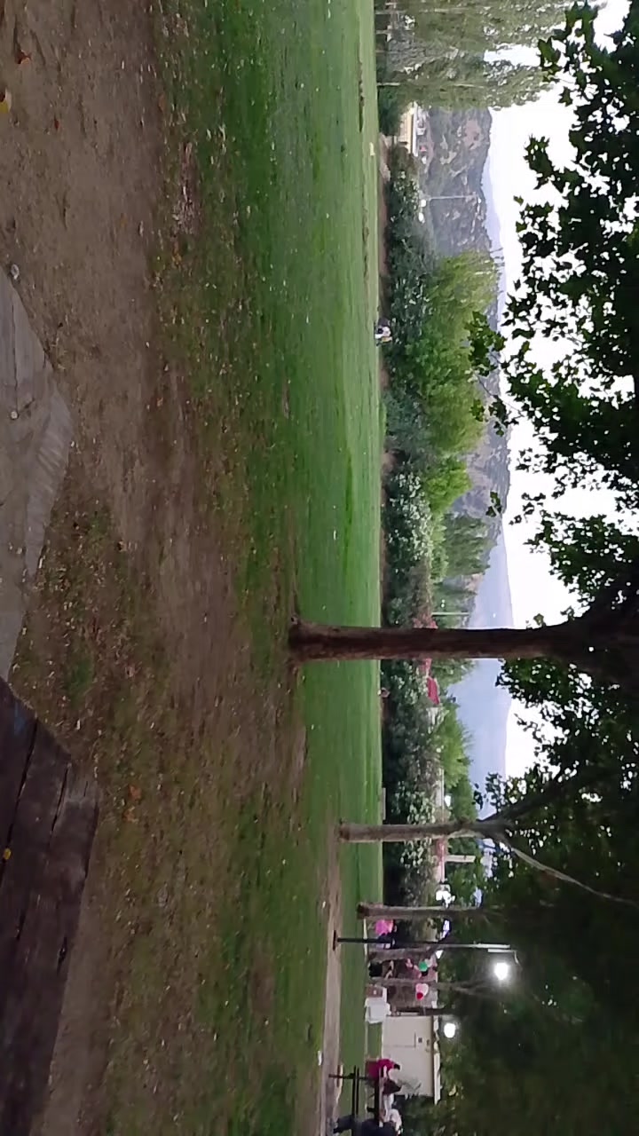 @gözüm Erdal Salihli