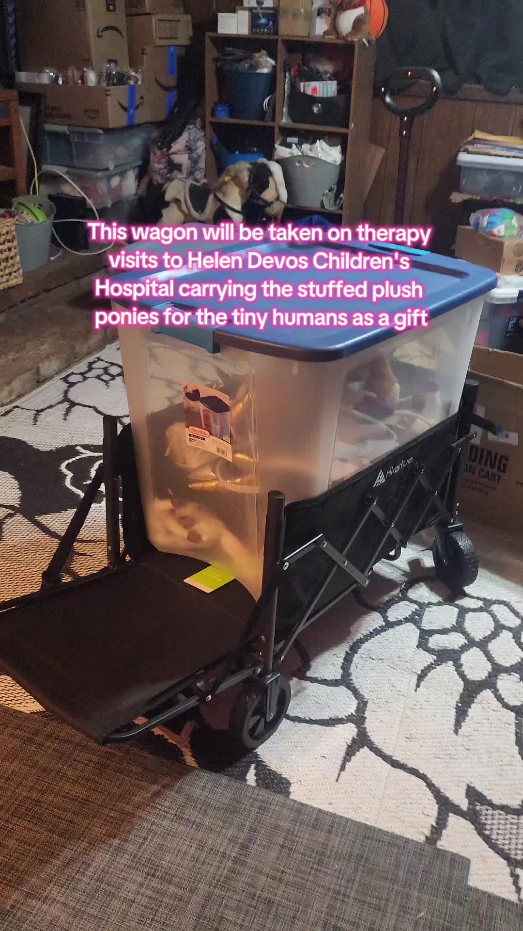 @minihorsemomandtrainer🐴🐴🐴🐴