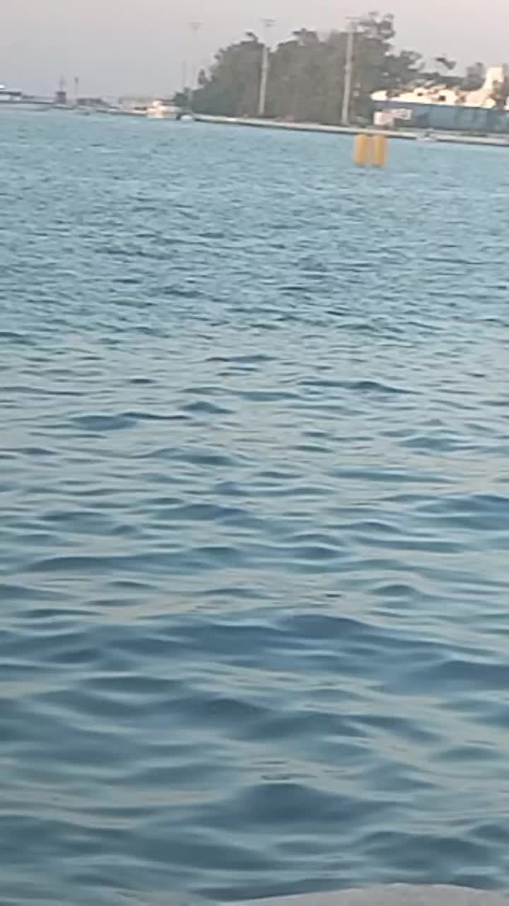 @Luigi Iaia