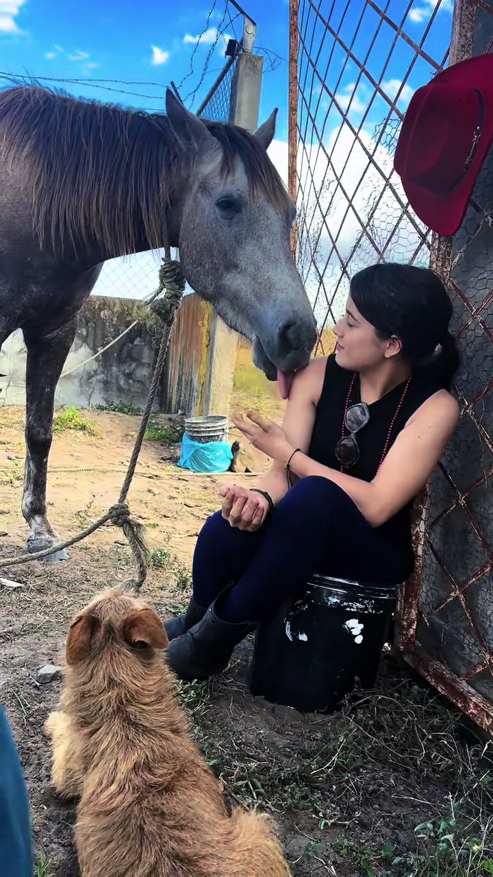 @Ana Castillo ☻︎☺︎︎