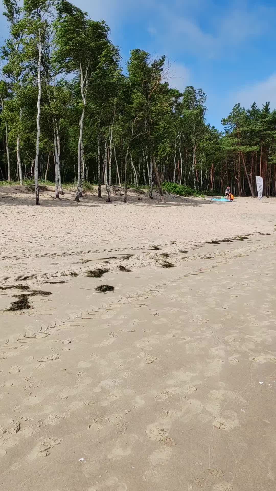 @JASNOWIDZ LESZEK JASIŃSKI