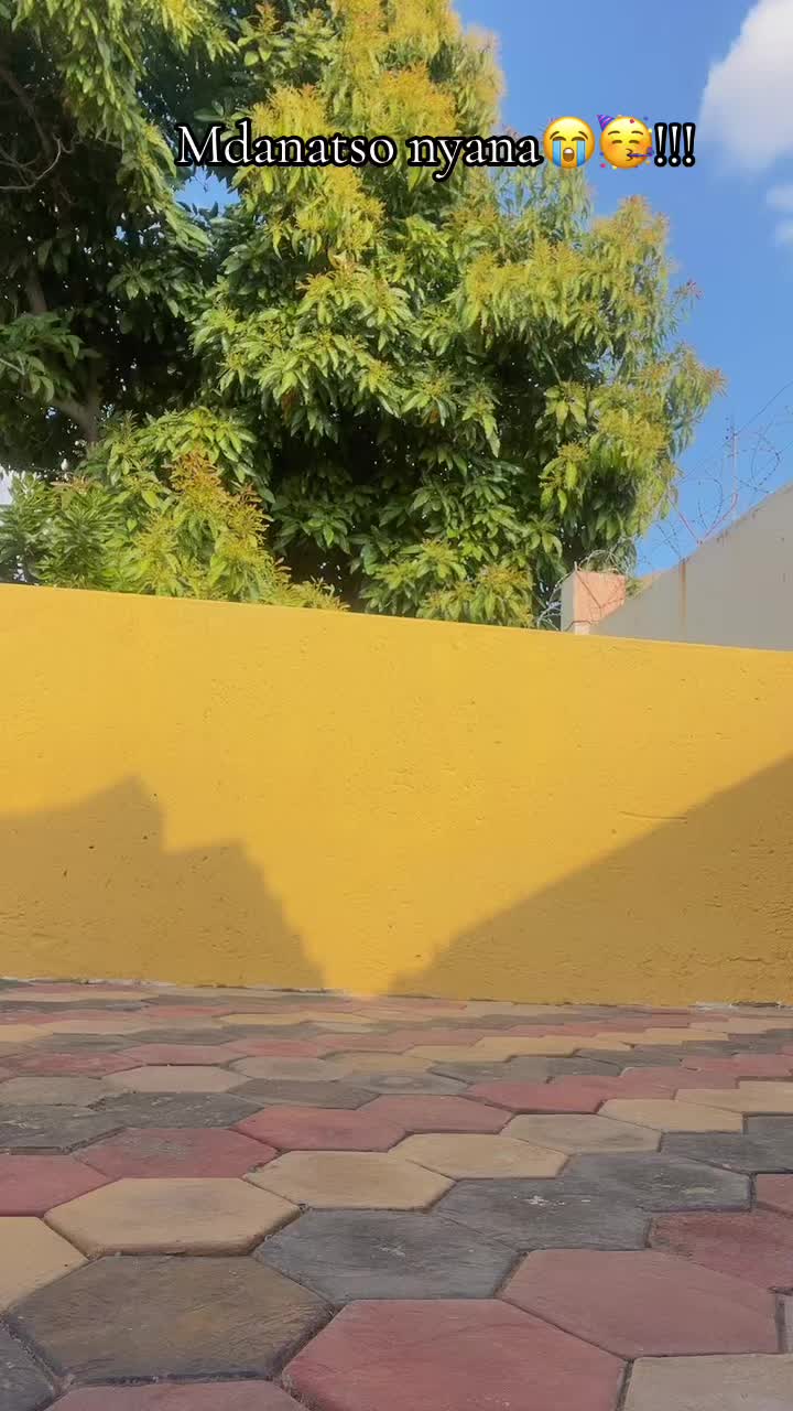 @Dali©an