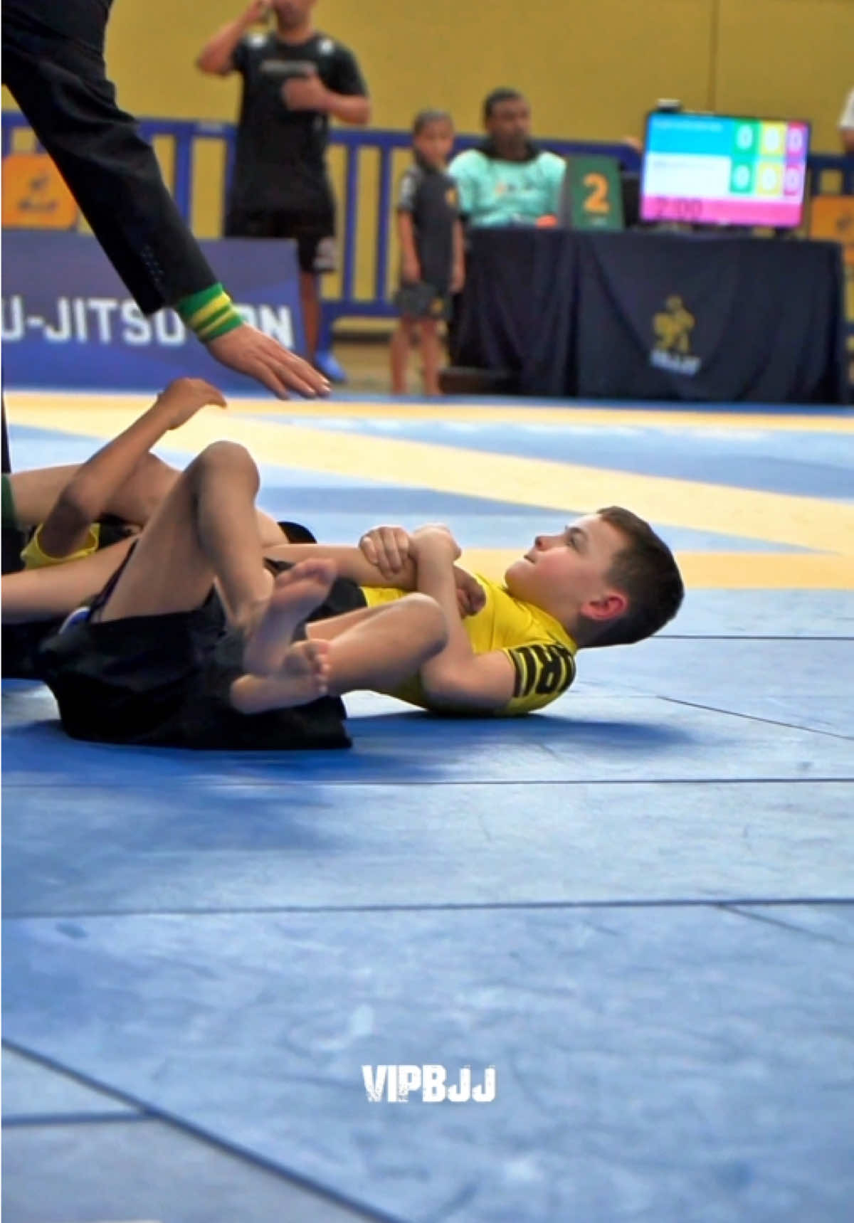 @VIPBJJ