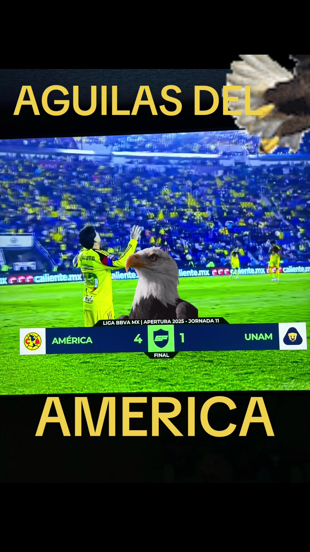 @V1RU5
