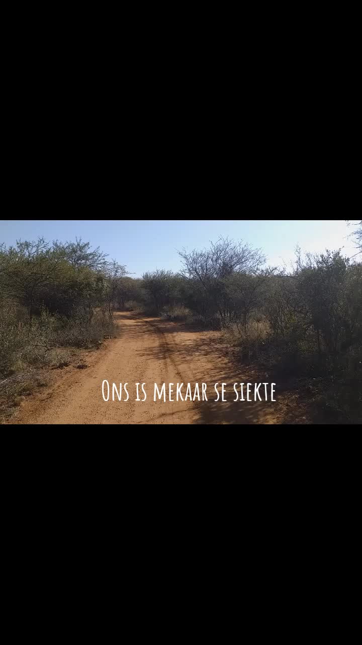 @M.J.A Serfontein