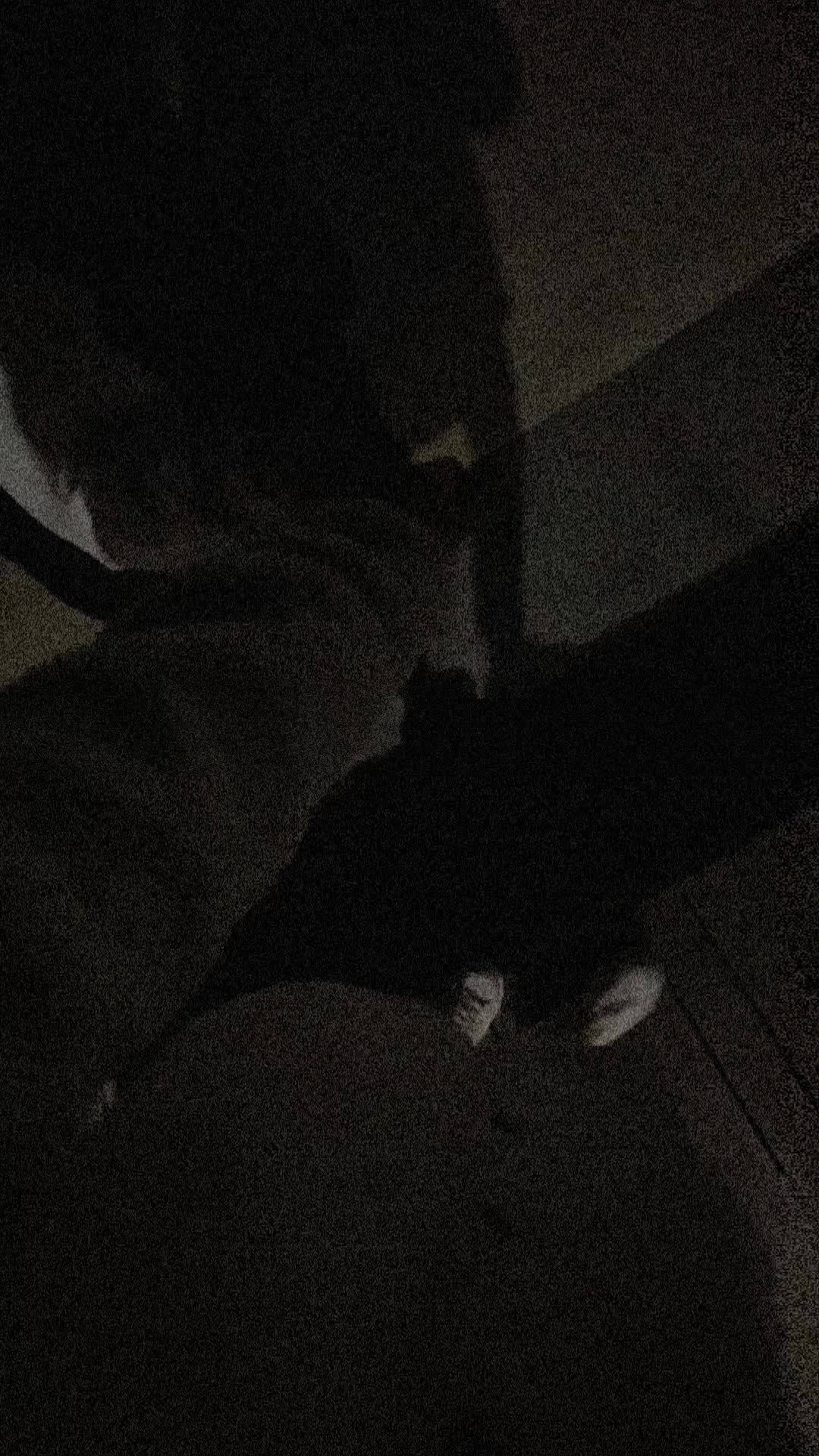 @_irka_popach_