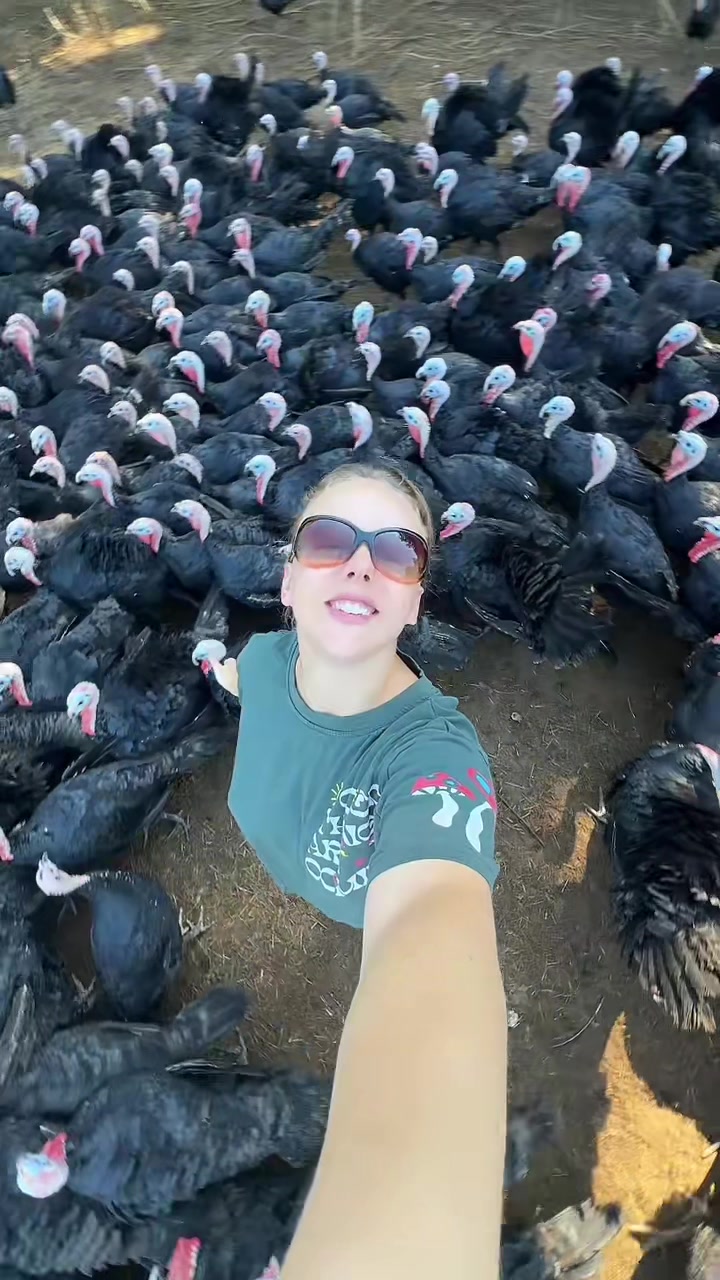 @farmerandtheharpiist