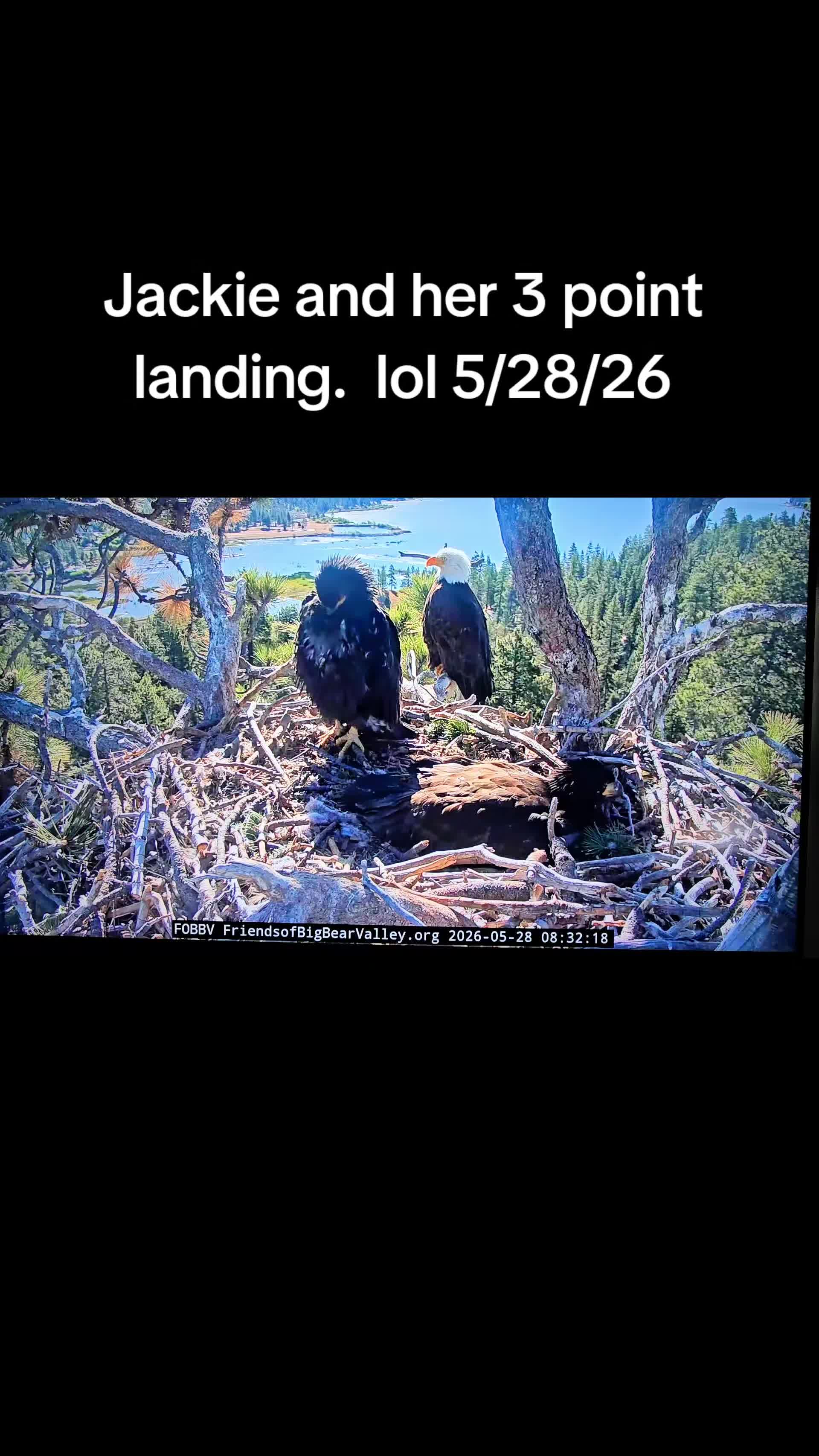 @llovelylenore🦅🦅🦅🦅
