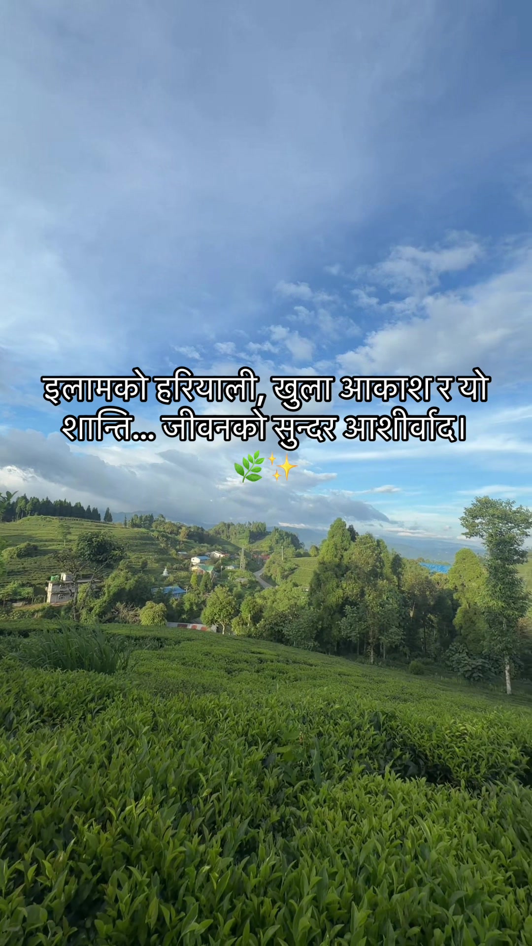 @prati