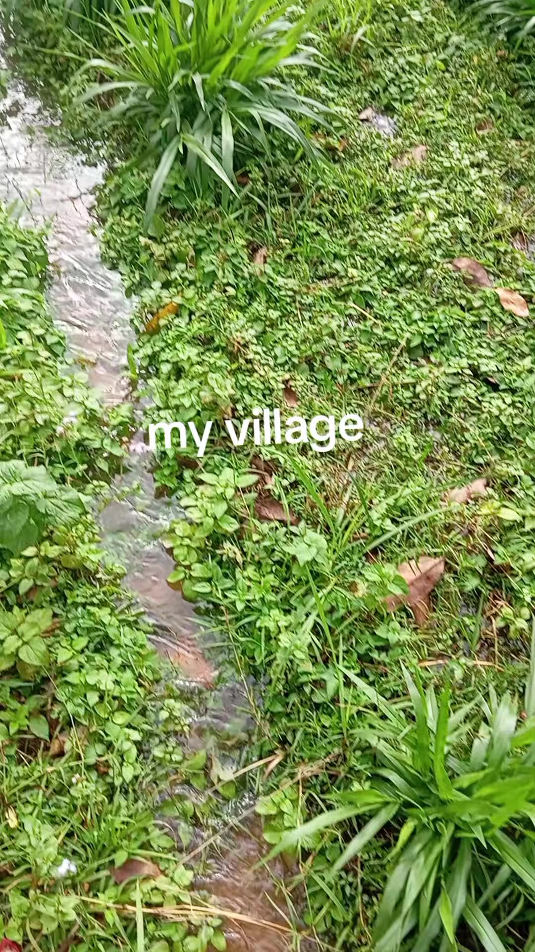 @Nirmala sharma__❤️