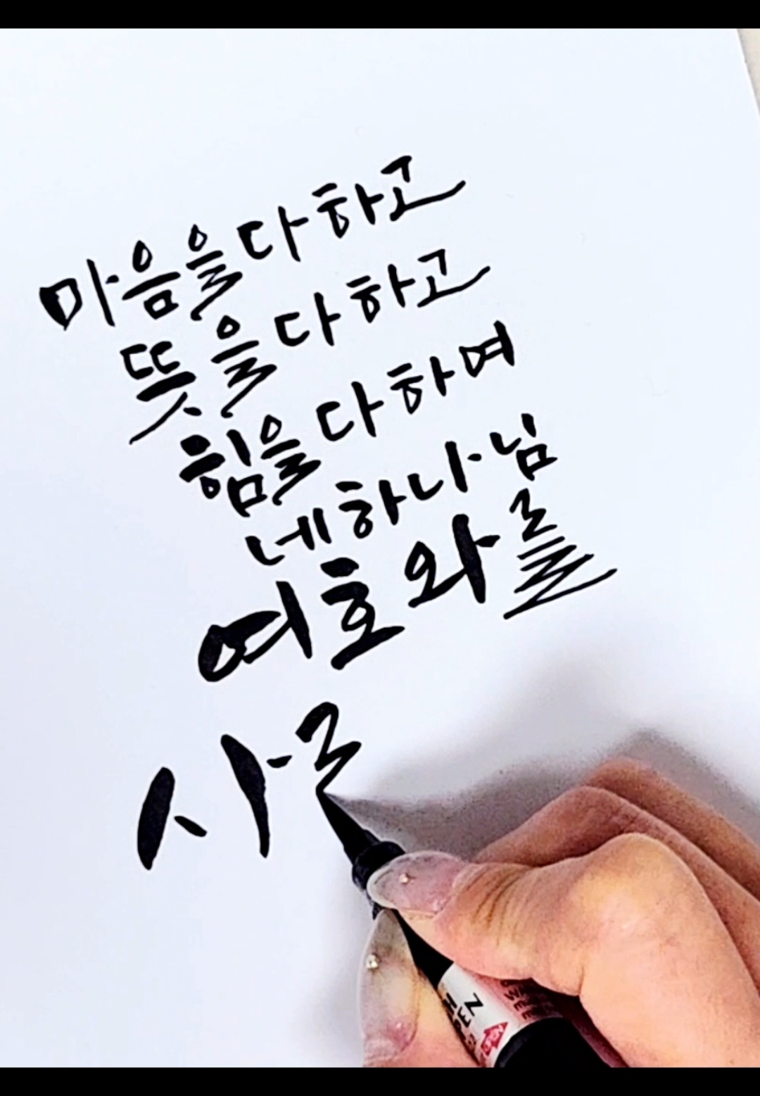 @SaraArt캘리그라피