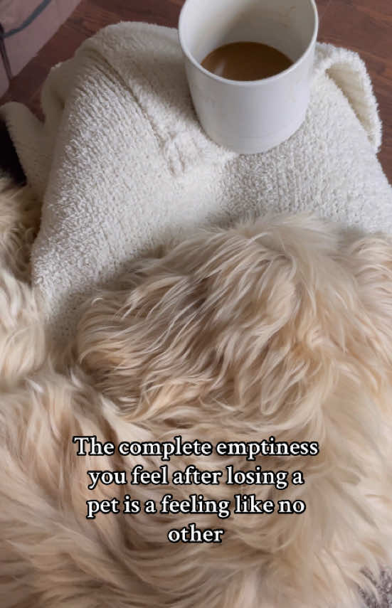 @Lauren's Journey