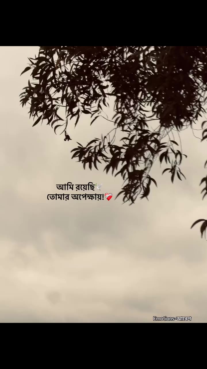 @🌷সুনামগঞ্জের ছেলে🌷