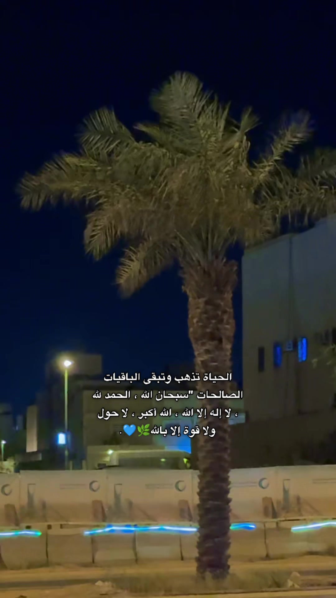@مالك سيف