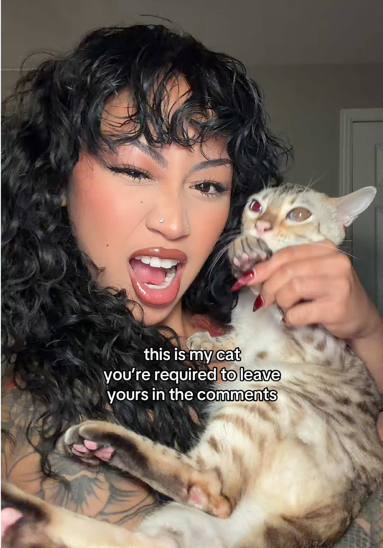 @Mirajane The Bengal🐾