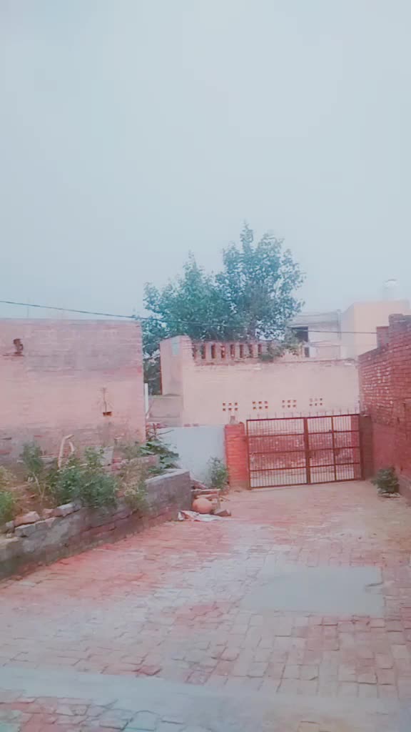@Narwal foji