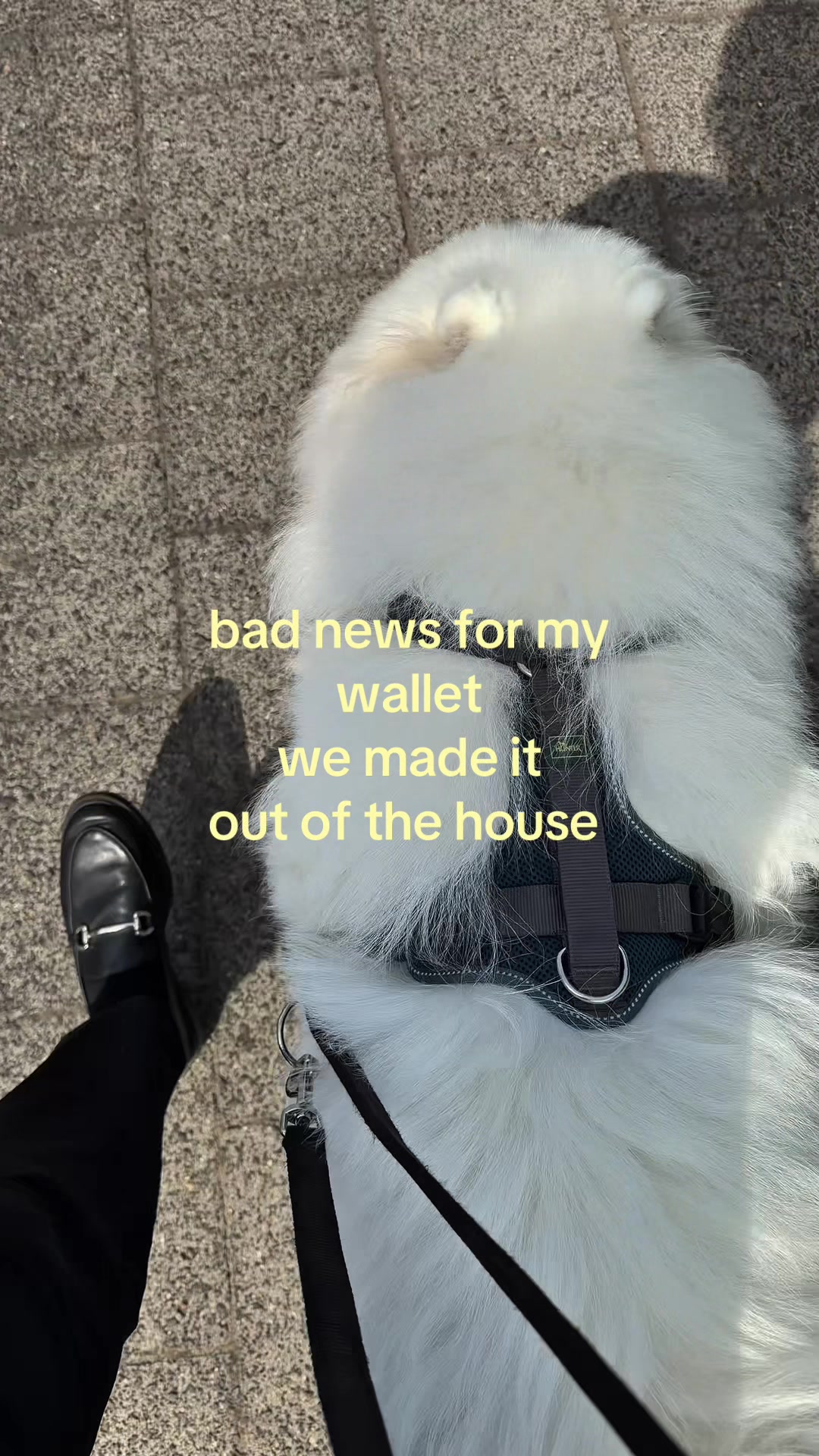 @snowydayswithlio