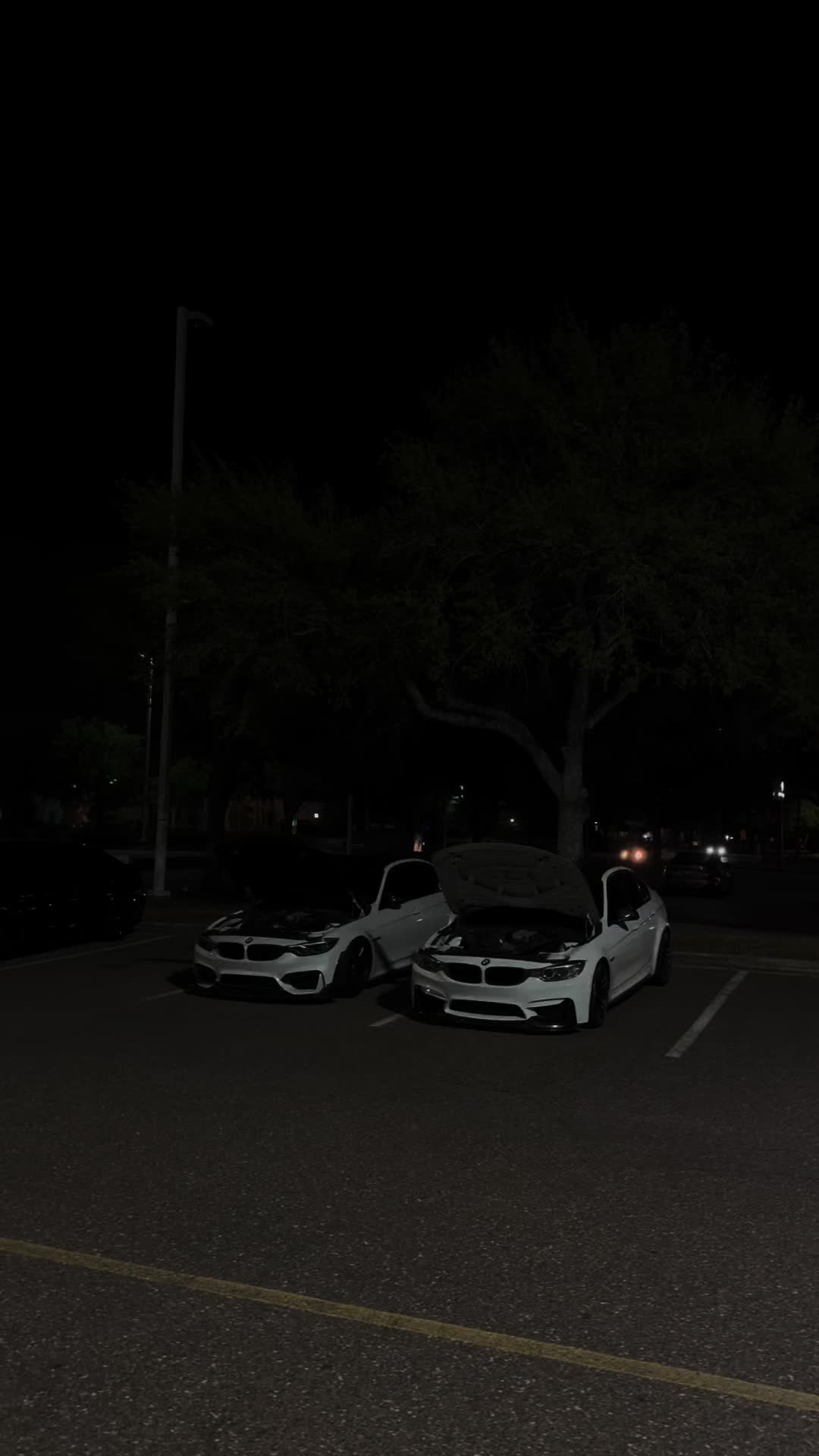 @f80andy_