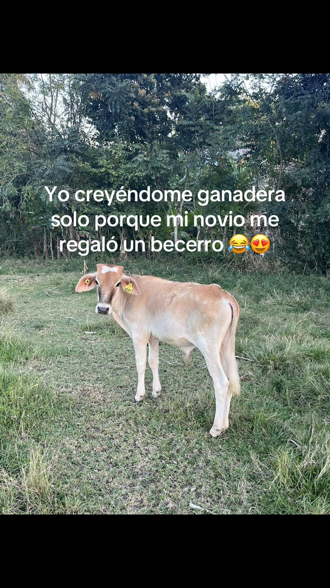 @yuli_g24💙