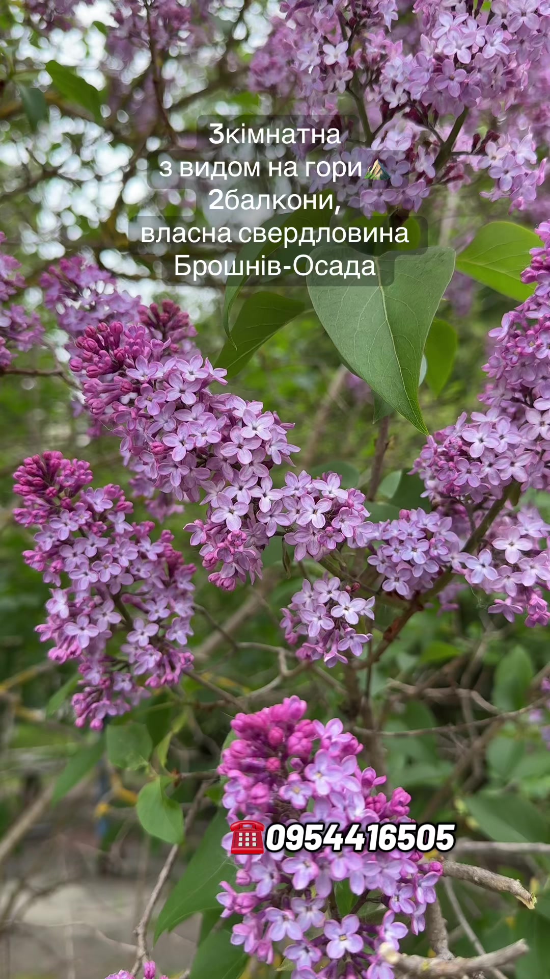 @Марія Шепіда | Нерухомість ІФ