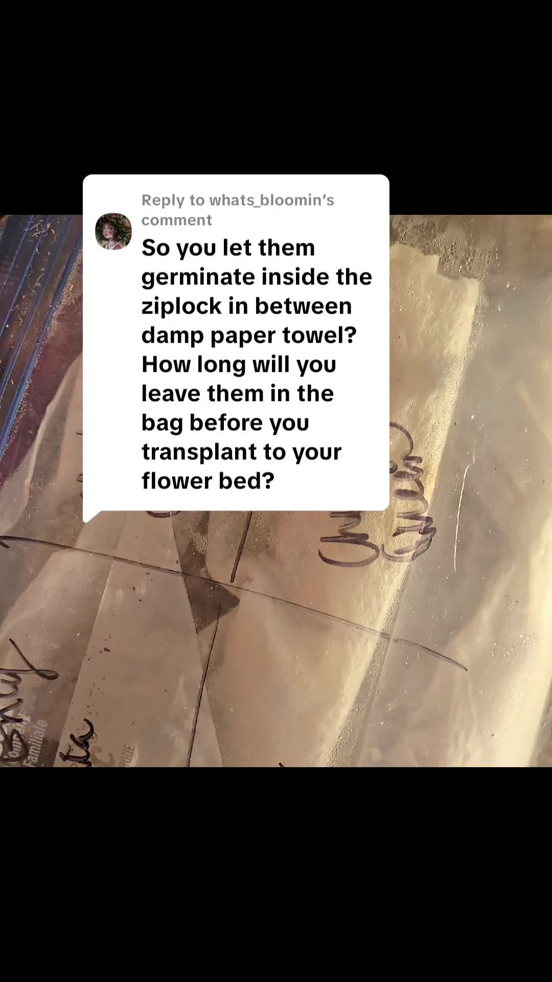 @Vicki Madden