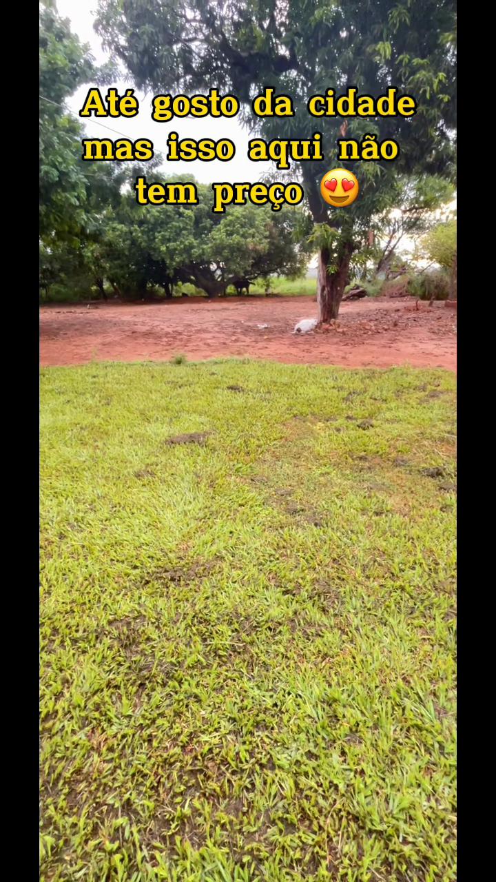 @Tᥲιzᥲ Sᥲrᥲι᥎ᥲ