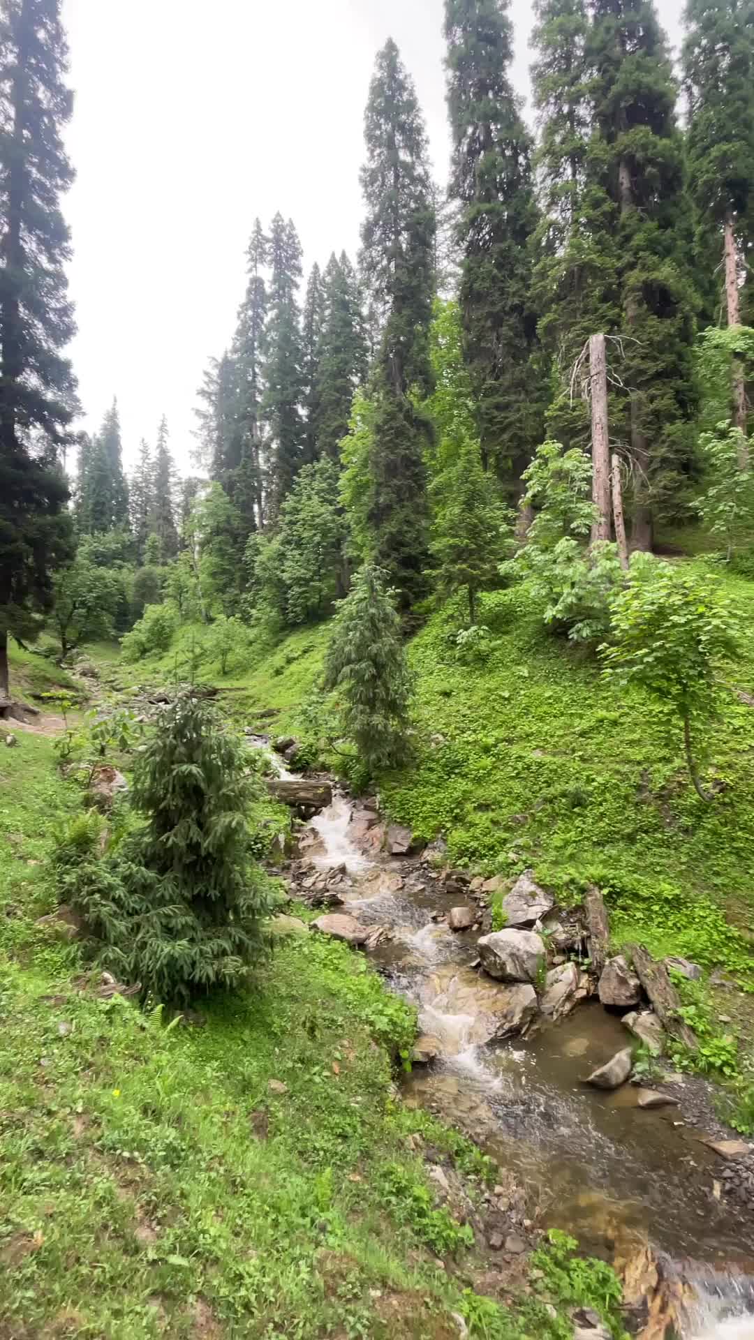 @Travel Pakistan
