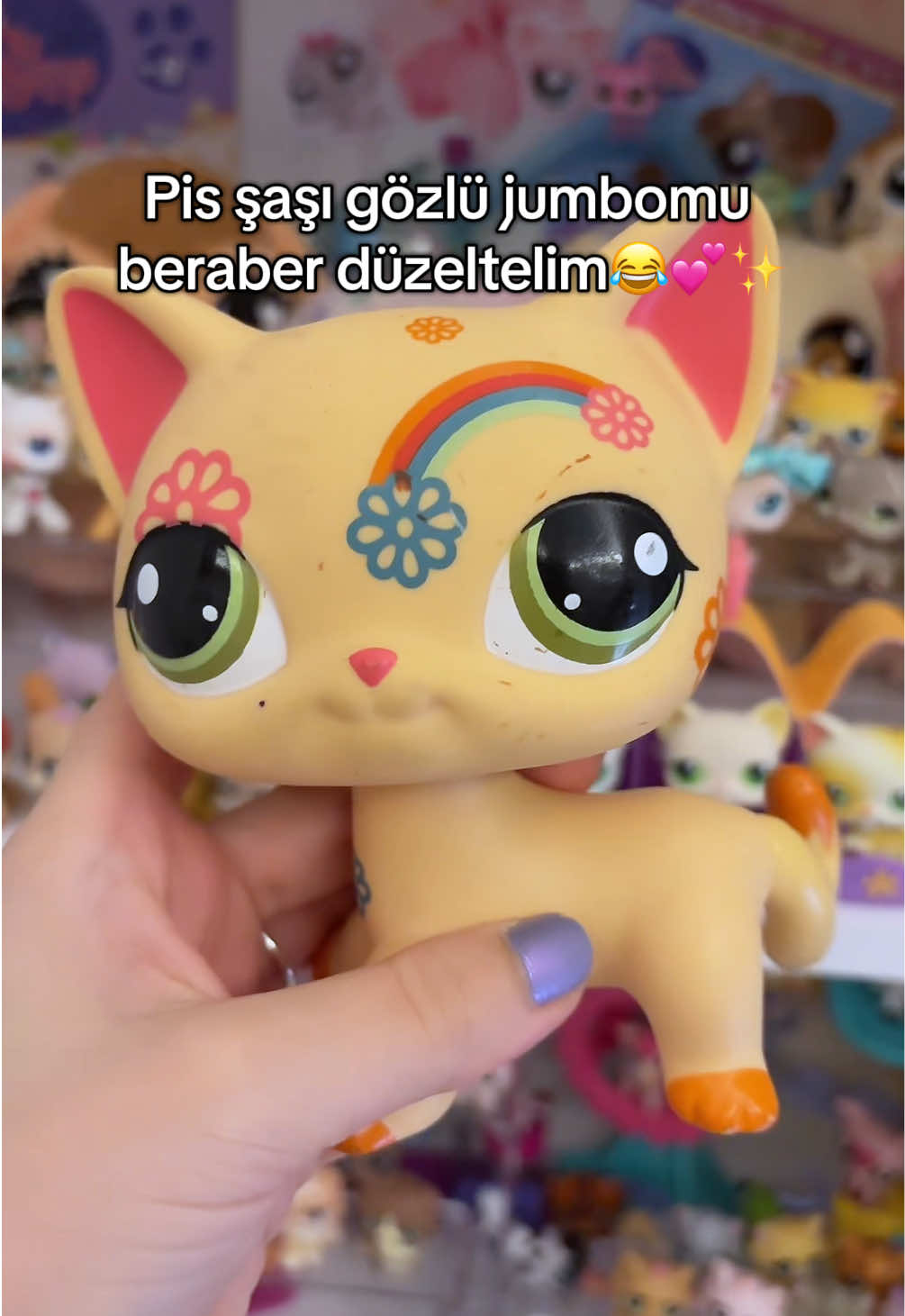 @dombiskitty🍰