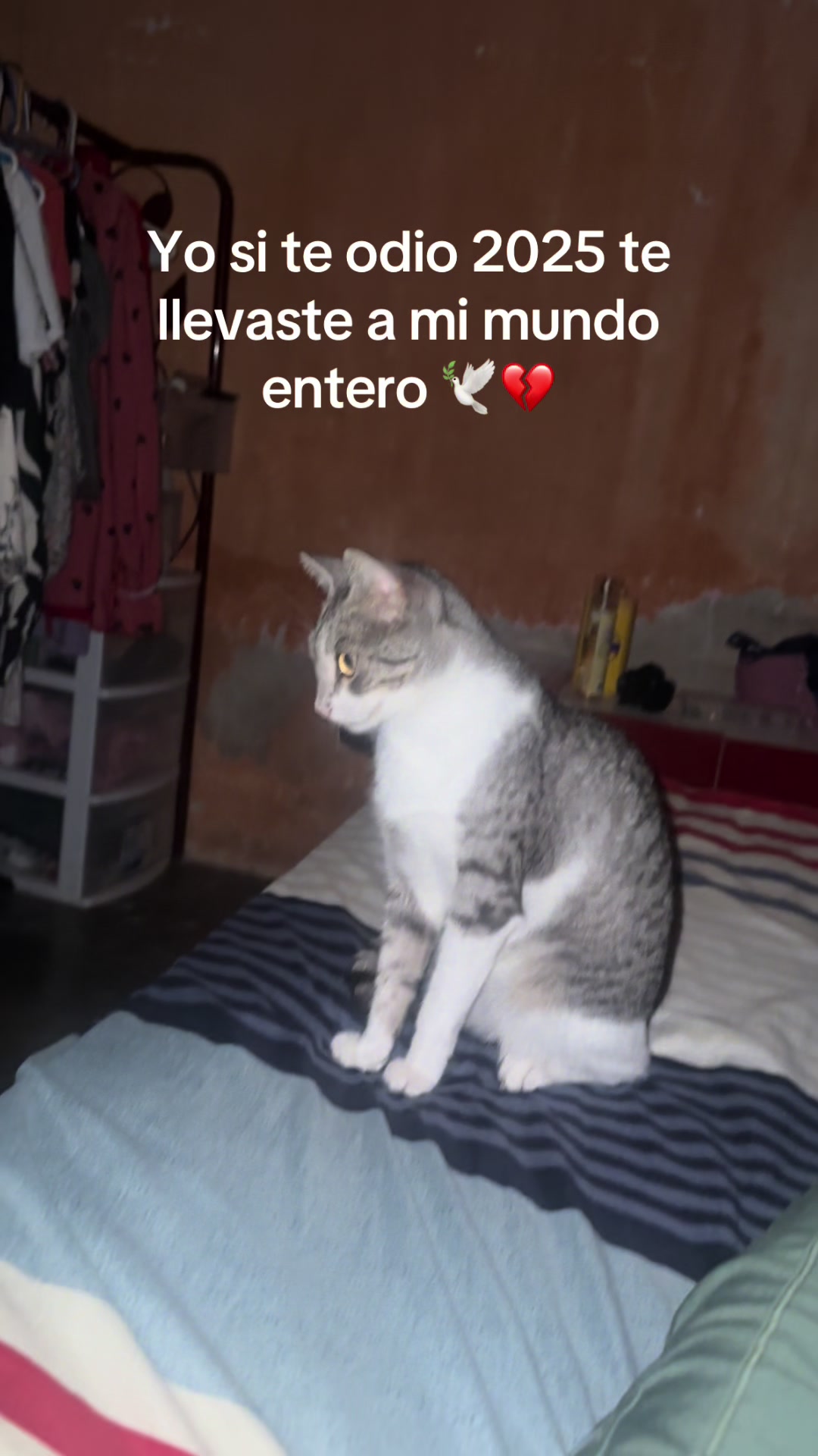 @jeeim_2