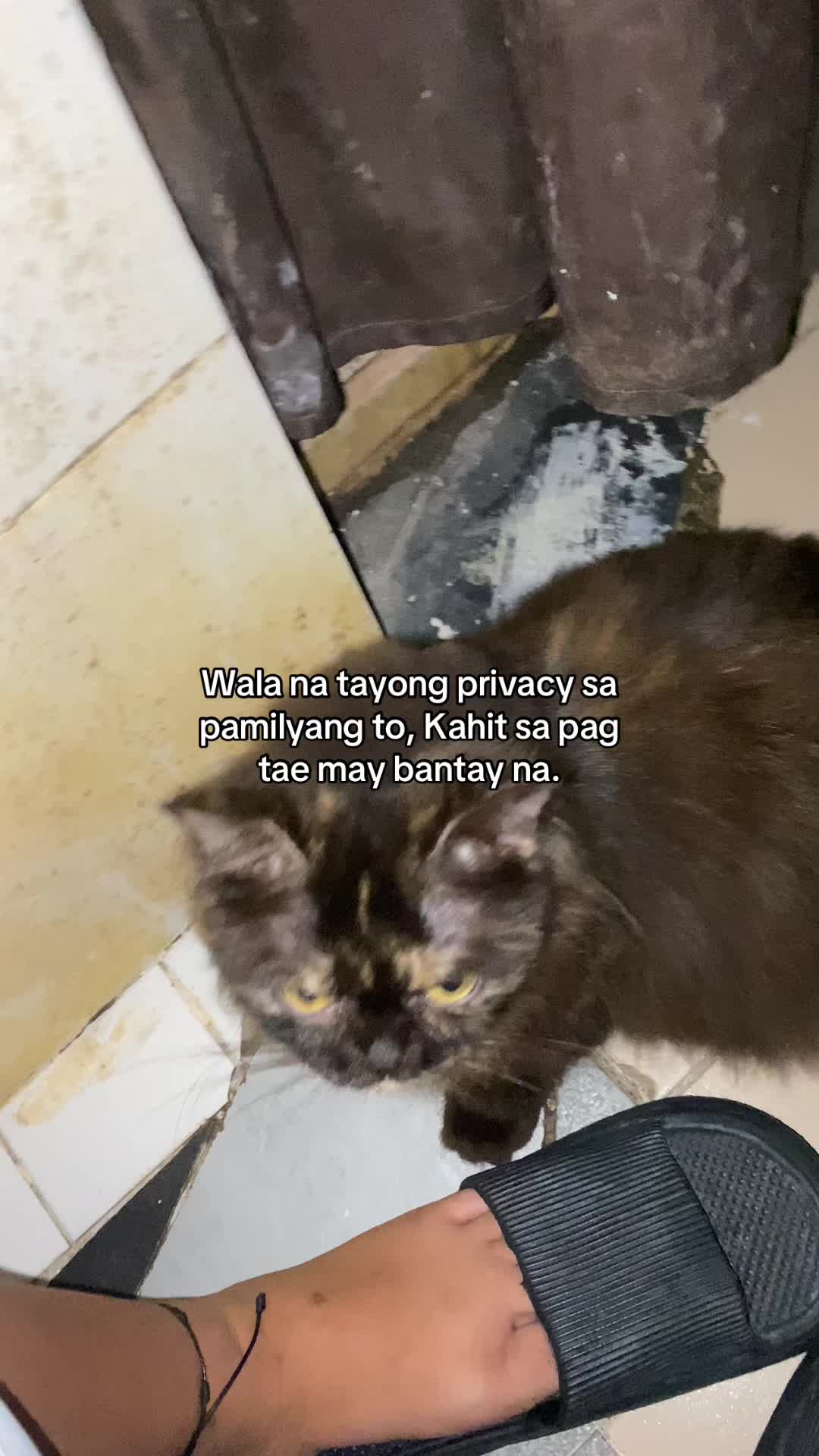 @Ayris Tenorio
