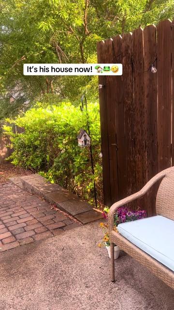@🌸