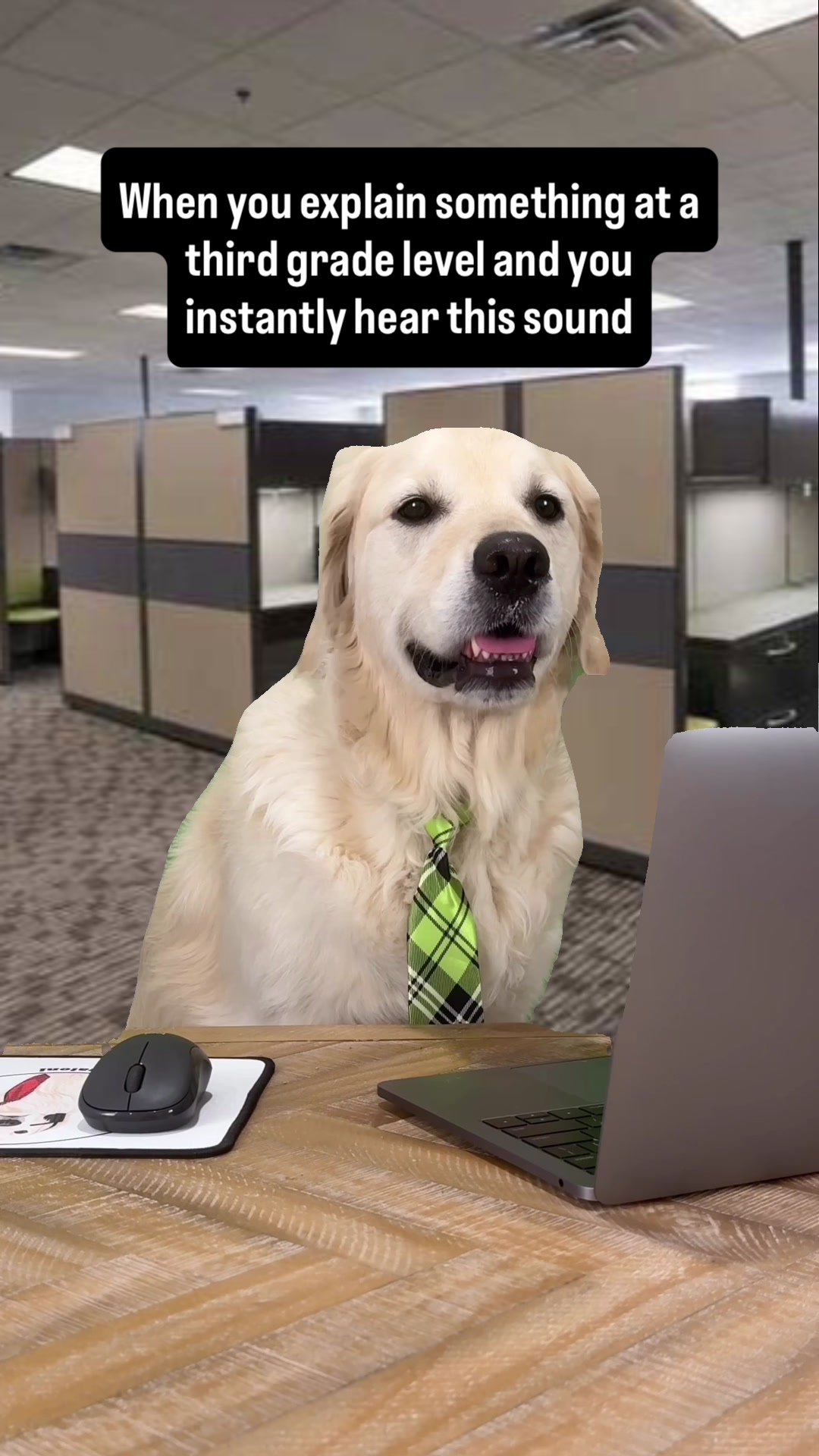 @Rigatoni The Golden