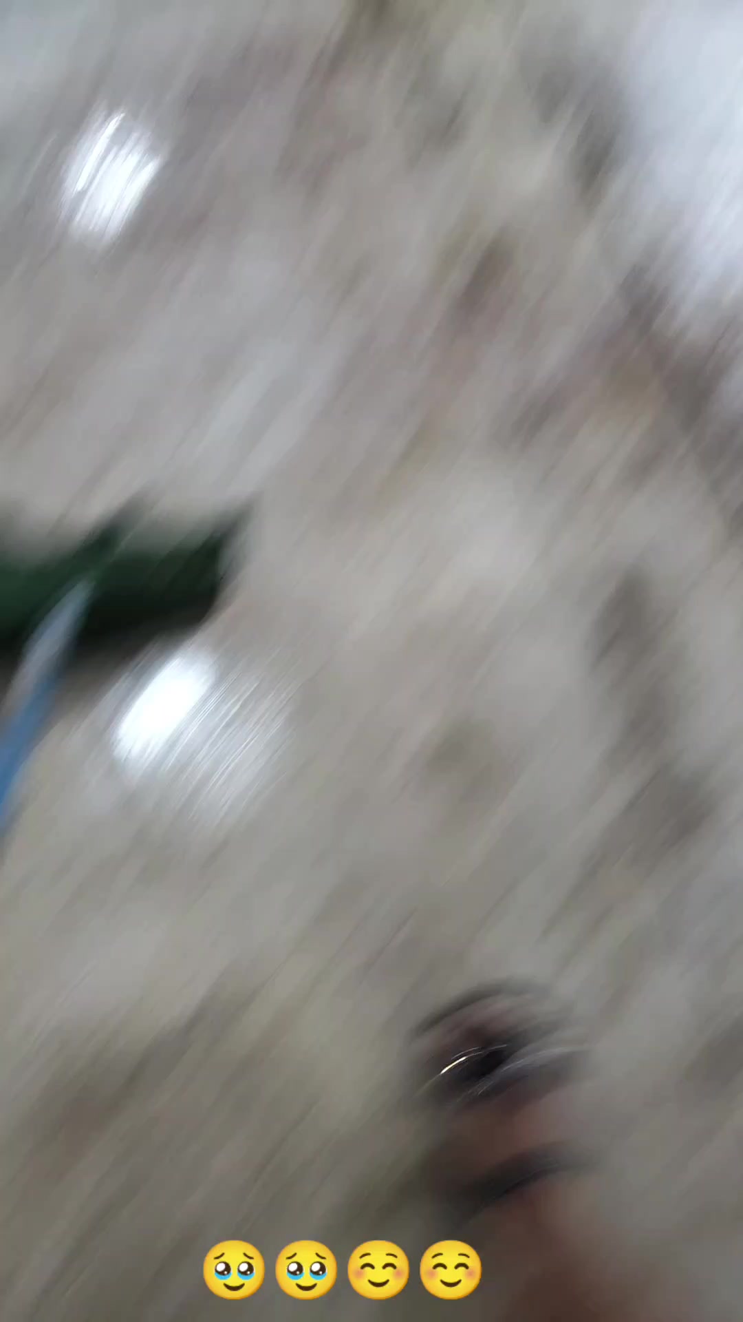 @Rebeca Chen
