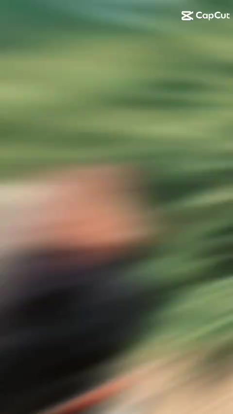 @Hwiacehtimur