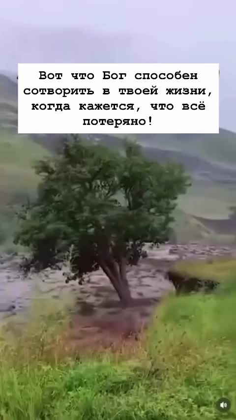 @Калыбекова Гулнара