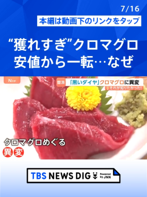 @TBS NEWS DIG Powered by JNN