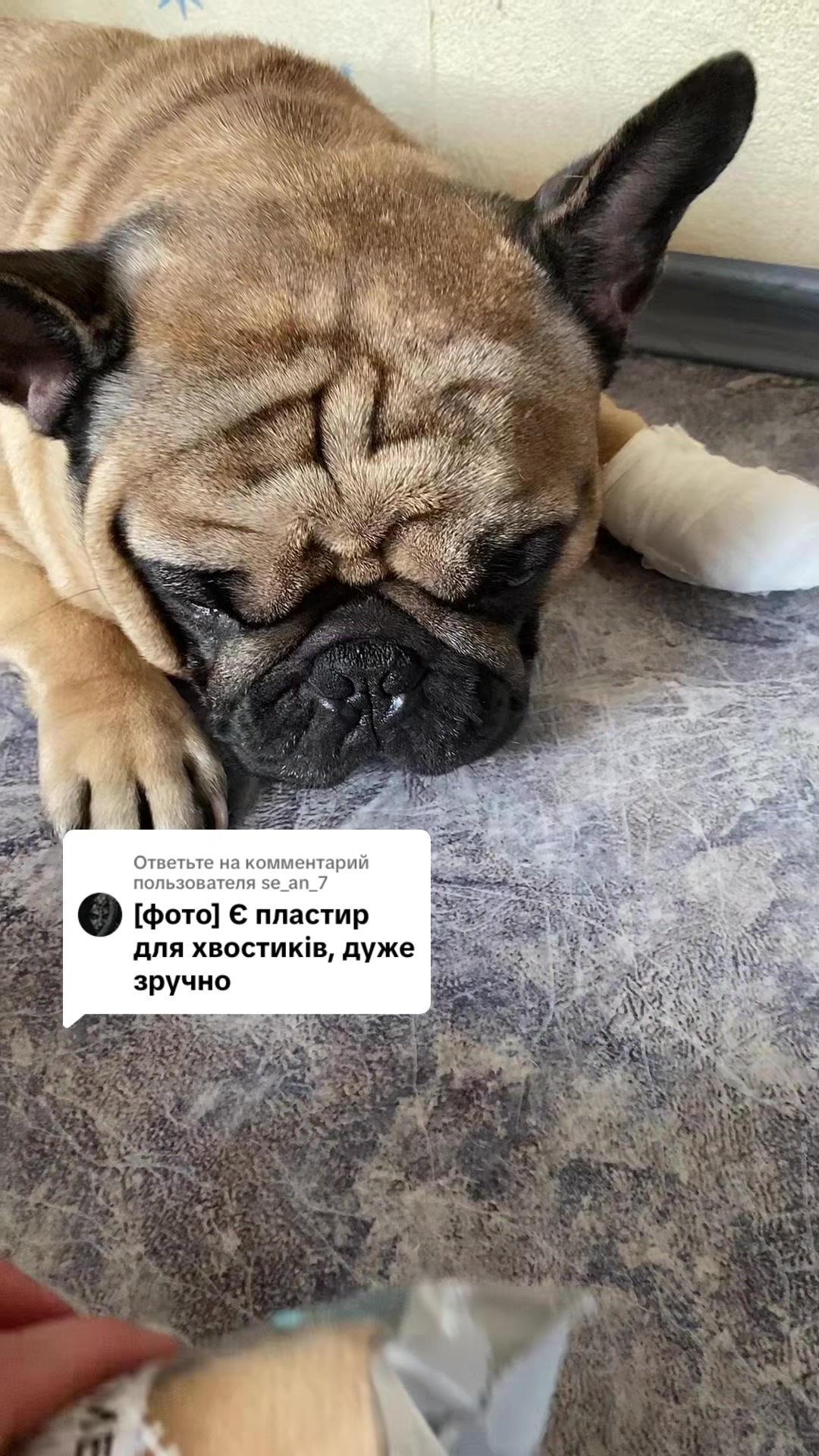 @_holly_bulls_