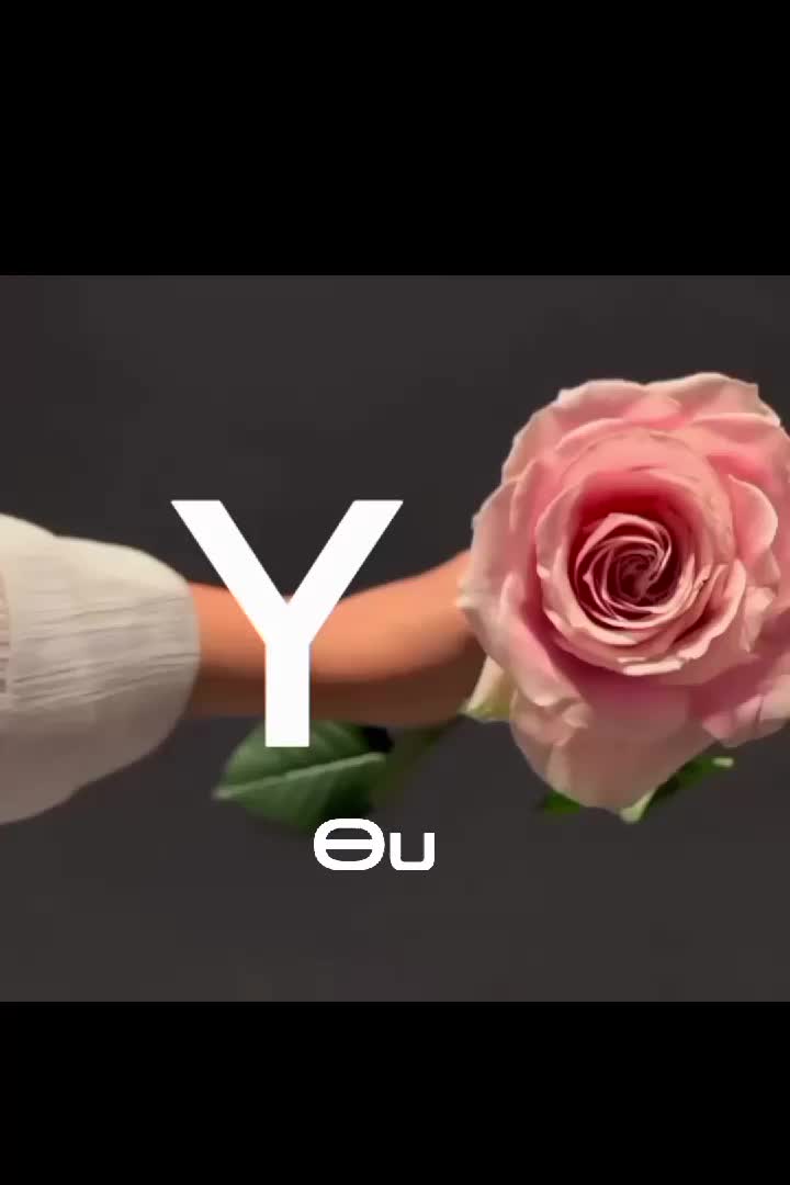 @Sigma🪽