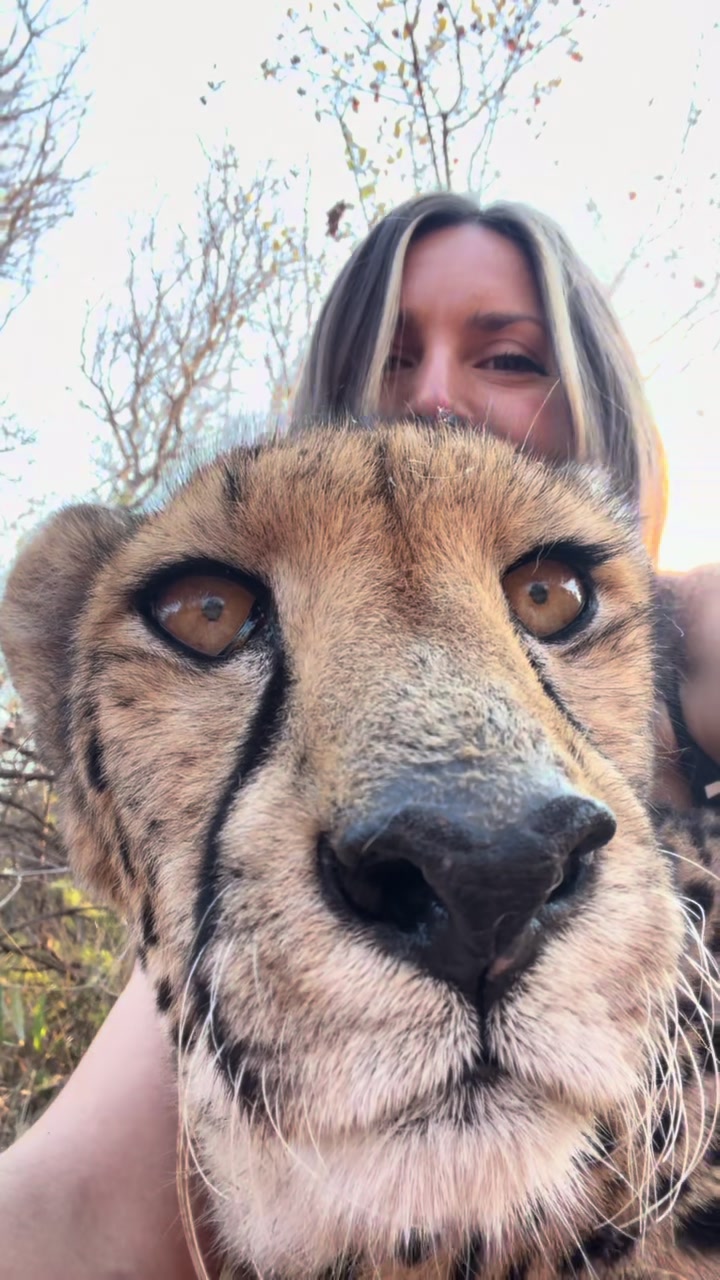 @🐆✨ Lisa Tora Jaqueline
