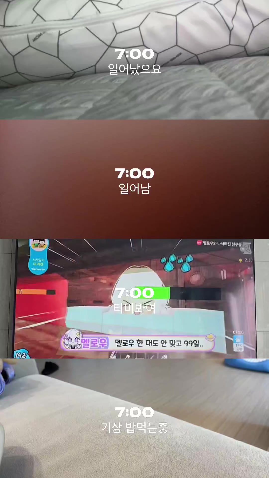 @기아츄(부)