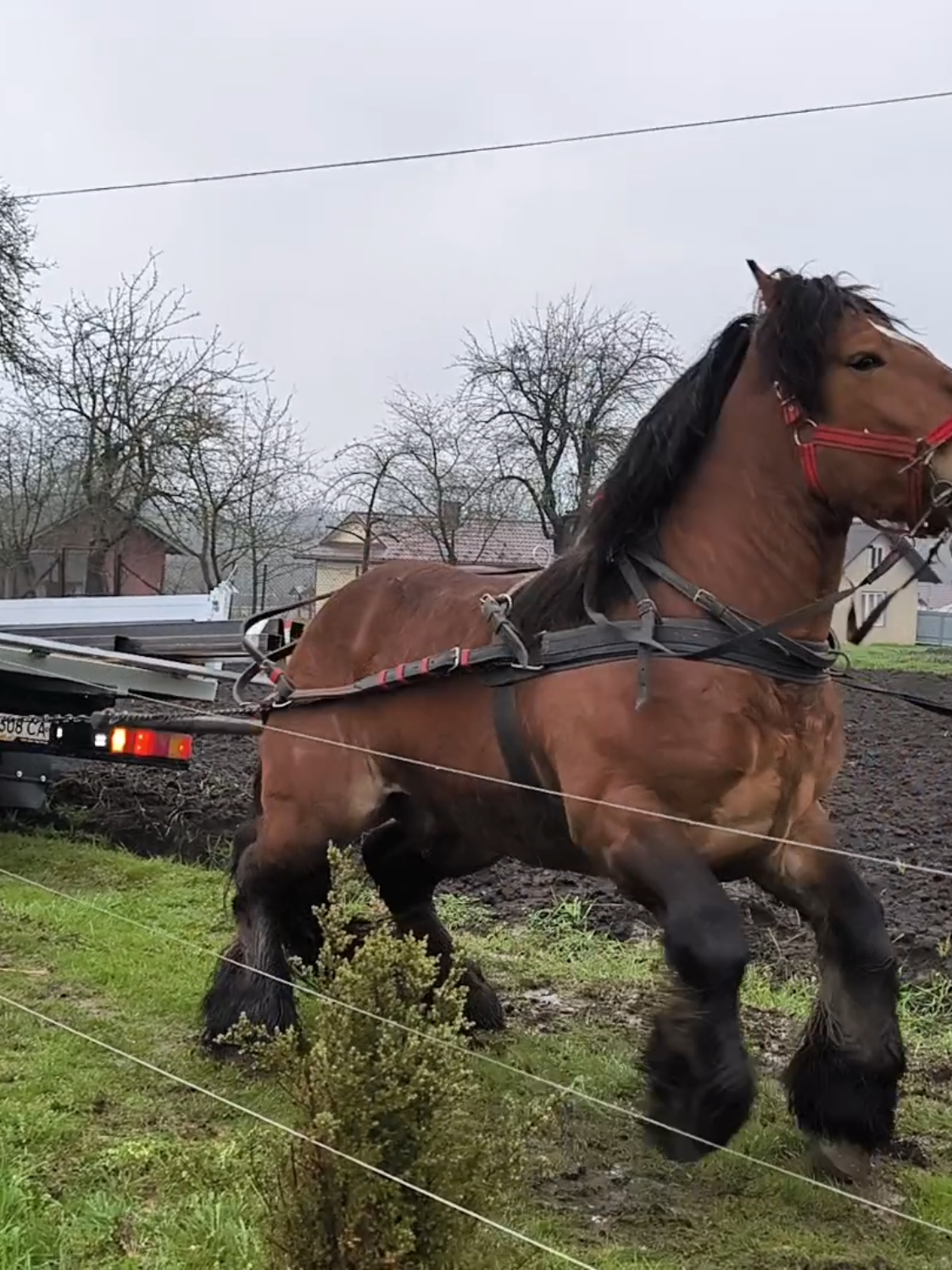 @ВАСЯ БОЙЧУК 🐎