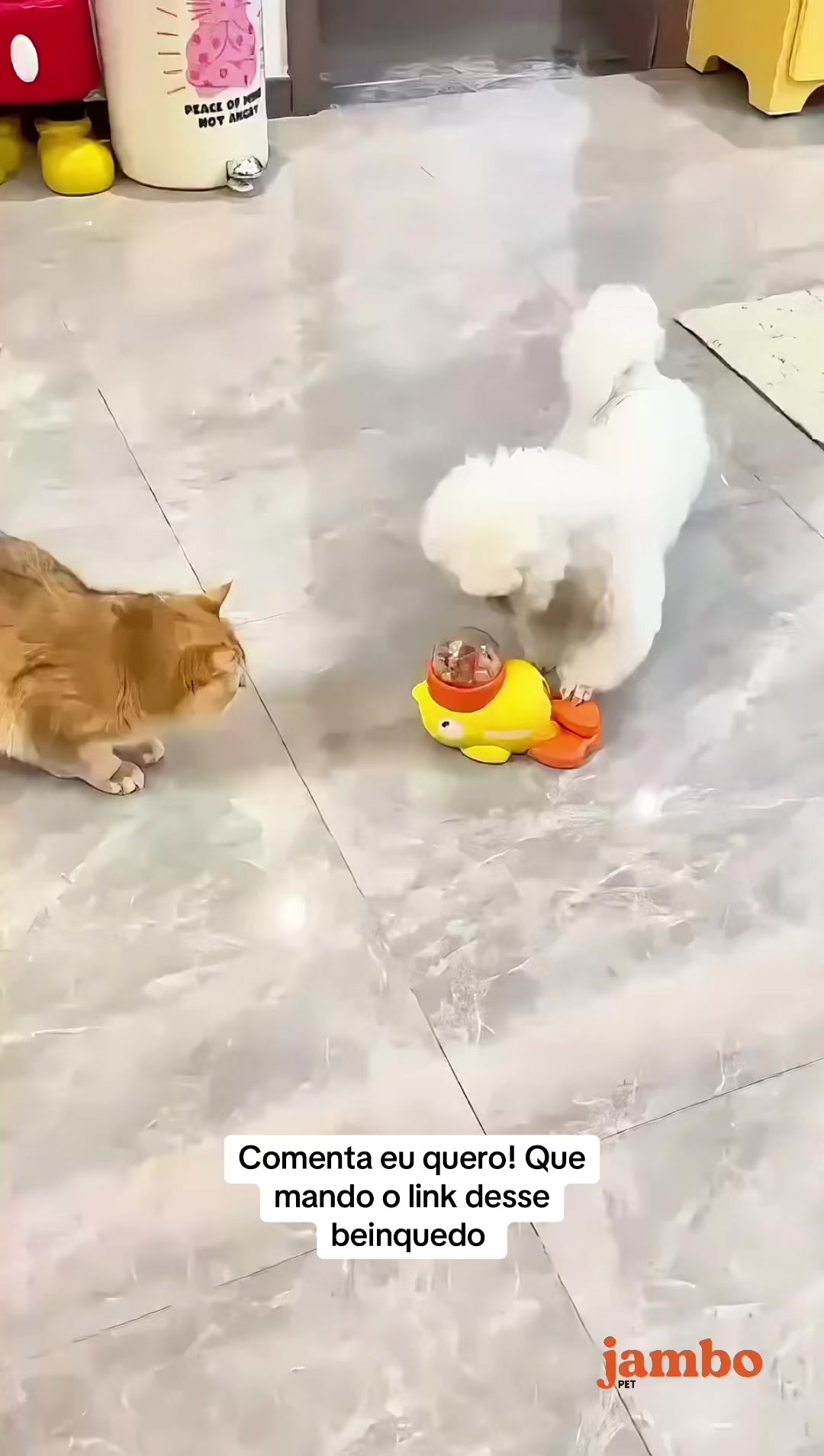@Ninaboutiquepet
