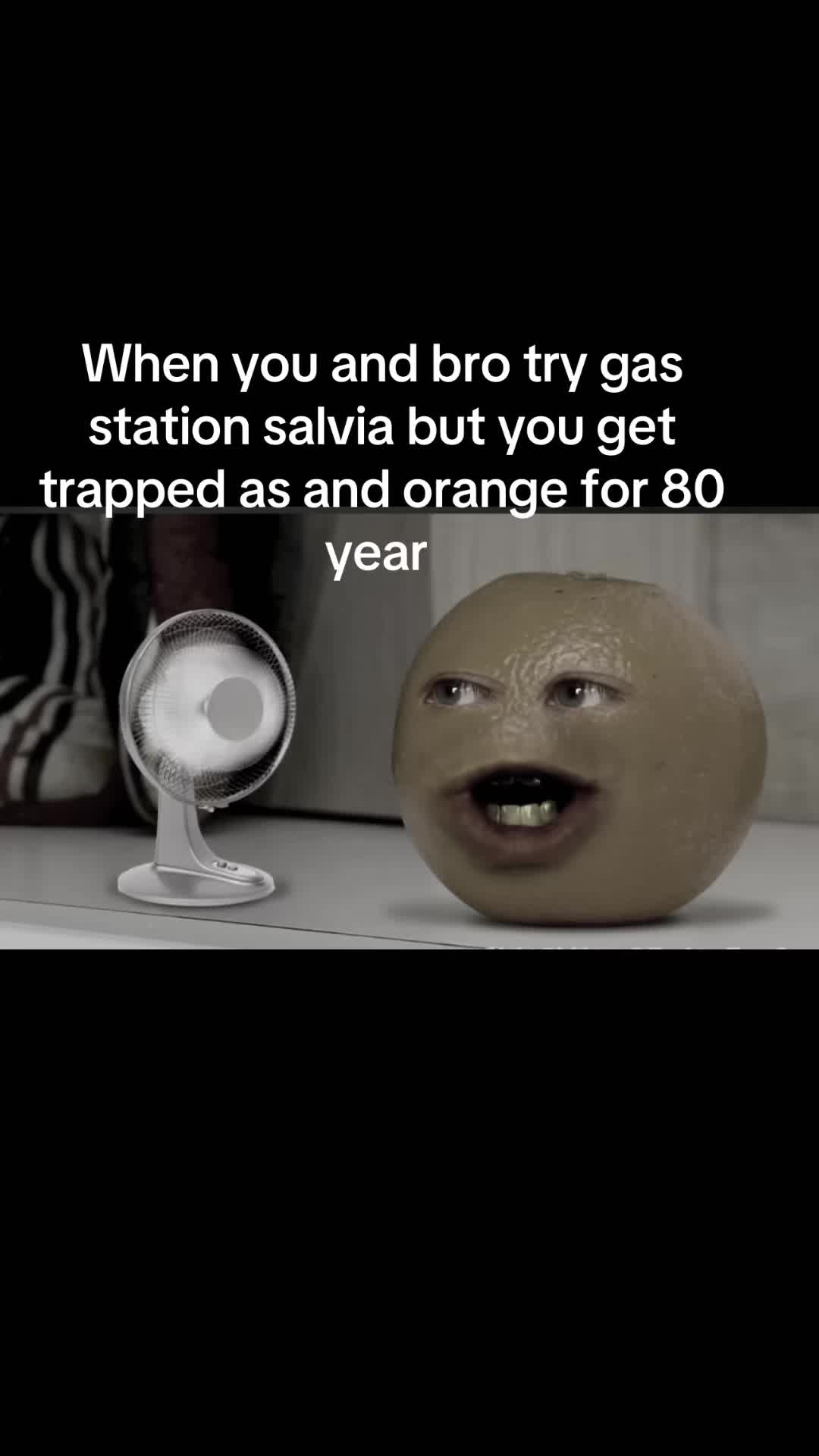@haiden993