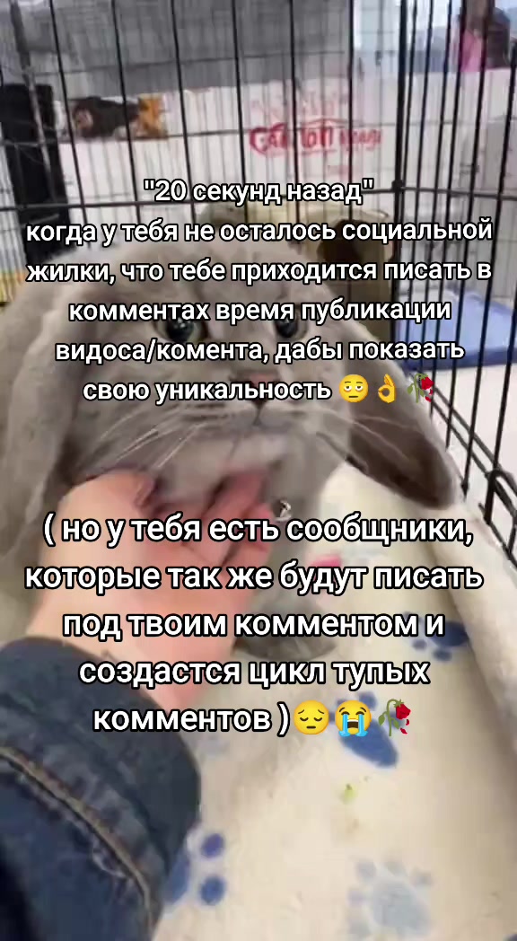 @волк с сво стрит